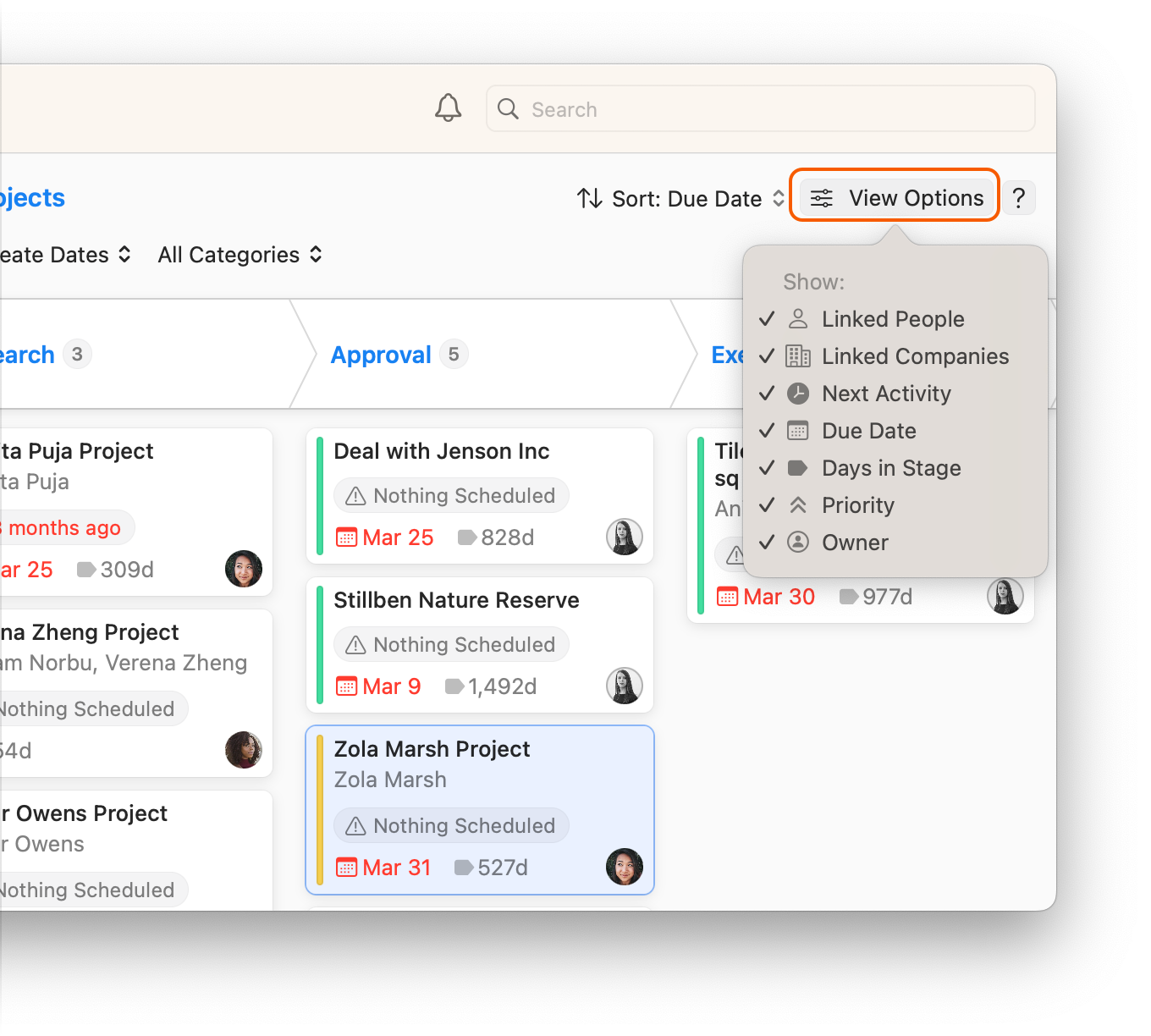 Projects Board showing View Options