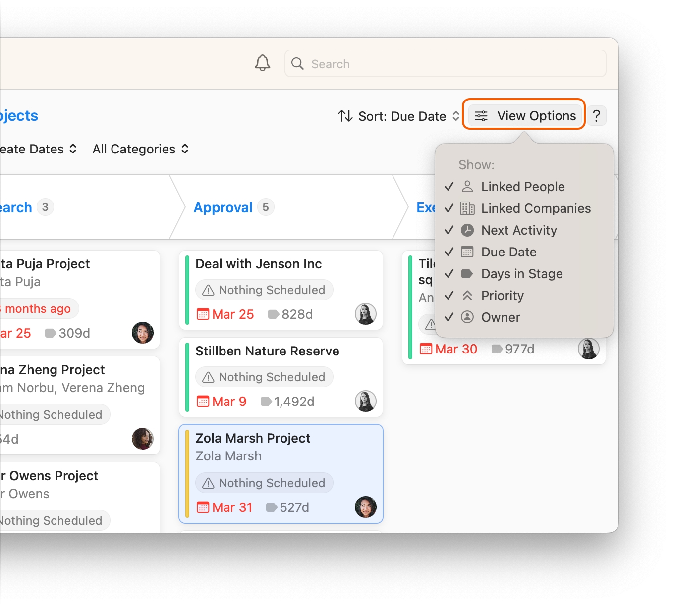 Projects Board showing View Options